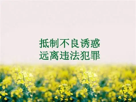 抵制不良违法犯罪行为